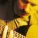 Michael Franks - This Must Be Paradise