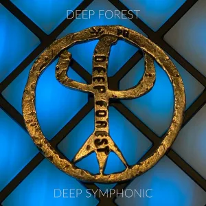 Deep Forest - Night Bird
