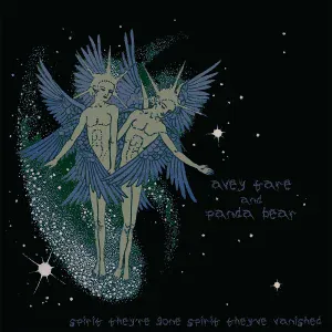 Animal Collective - Spirit They've Vanished