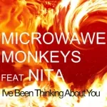 Microwave Monkeys feat. Nita feat. Nita - I've Been Thinking About You
