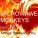 Microwave Monkeys feat. Nita feat. Nita - I've Been Thinking About You