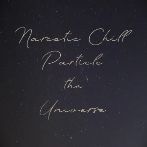 Narcotic Chill - Particle the Universe