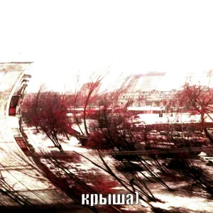 never die - крыша