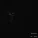 plenka - Another World Is Dying Near U