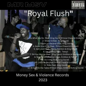 Mr. MSV feat. Prince Chase - Do It Big