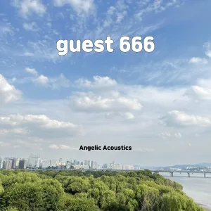 Angelic Acoustics - both sides