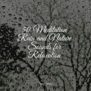 Schlaflieder Fur Kinder, Deep Sleep, Masters of Binaurality - Sounds of Rain and Thunder