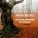 Pier Paul Berzaitz feat. Orkestre Symphonique du Pays Basque - I Will Give My Love an Apple