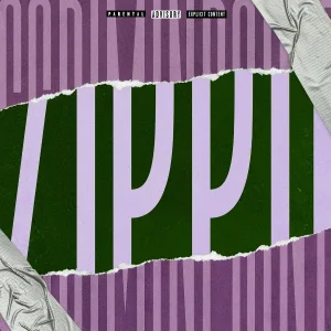 SCRIMINPAINT - Zippo