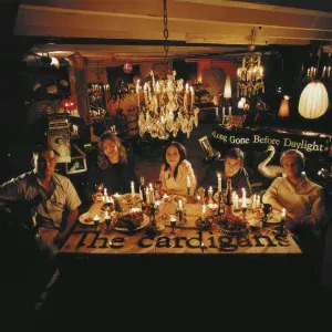 The Cardigans - You're The Storm