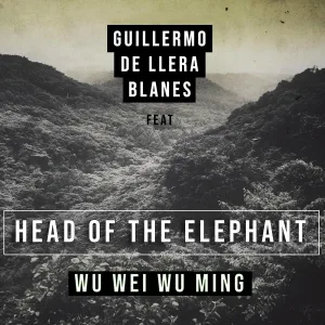 Guillermo de Llera Blanes feat. Head of the Elephant - Anokoadare