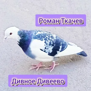 Роман Ткачев - Дивное Дивеево