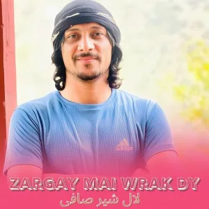 Lal Sher Safi - Zargay Mai Wrak Dy