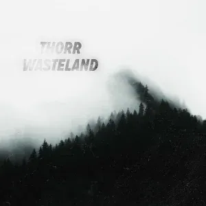 Thorr - The Sauce
