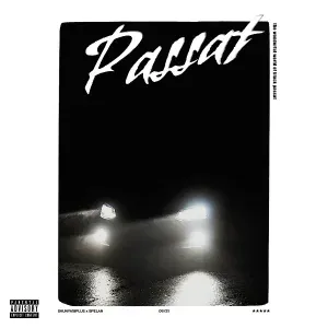 shunya18plus, SPELAN - Passat