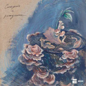 DOR - На стороне смерти