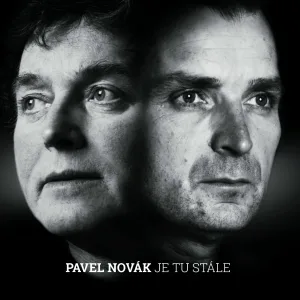 Pavel Novák - Pihovatá dívka