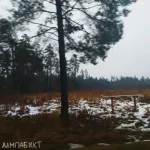 лампабикт - Объятия