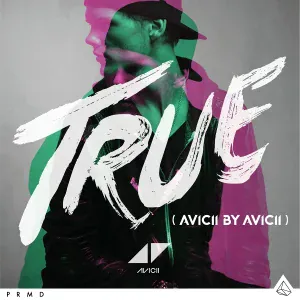 Avicii - Wake Me Up