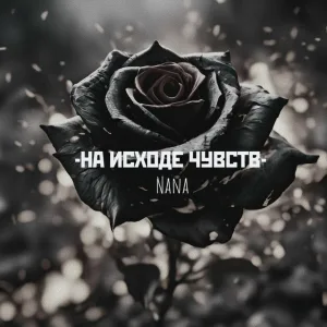 Nana - На исходе чувств