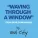 Owl City - Waving Through a Window