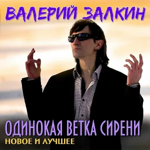 Валерий Залкин feat. ClubMix - Одинокая ветка сирени