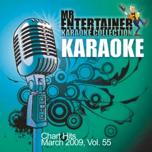 Mr. Entertainer Karaoke - Falling Down (In the Style of Oasis) [Karaoke Version]