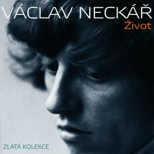 Václav Neckář feat. Jana Robbová - Rok Rok Střídá