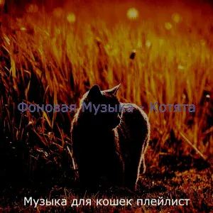 Музыка для кошек плейлист - Атмосфера (Кошки)