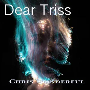 Chris Wonderful - Angels in the Sky