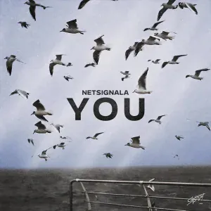 Netsignala - YOU