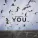 Netsignala - YOU