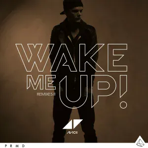 Avicii - Wake Me Up