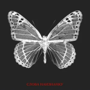 VLNY - Слова наизнанку