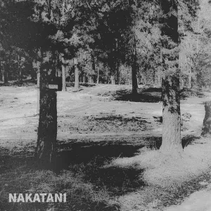 NAKATANI - Я напишу тебе завтра