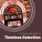 Lonnie Johnson - Mr Johnson Swing