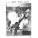 Paul Jones - Diggin Mommas Tatters