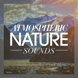 Nature Sounds - Bermuda