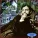 Claude Debussy - Clair de Lune