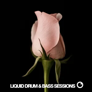 Unknown artist - Superstylin' DnB