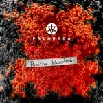 Palaraga - Away from Home