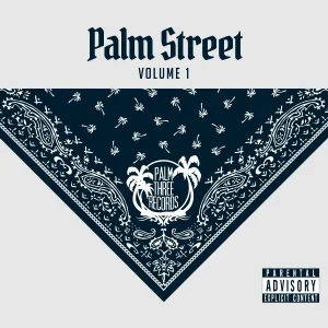 Palm 3 Records feat. Kopps, Bona Bones - Haterz