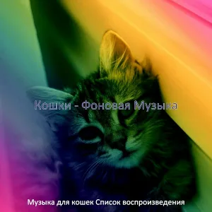 Музыка для кошек Список воспроизведения - Мечты (Отдыхающие кошки)