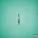 The Raveonettes - Endless Sleeper
