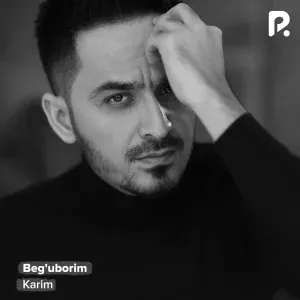 Karim - Когда ты на машине при деньгах