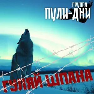 Группа Пули-Дни - Дерзкая