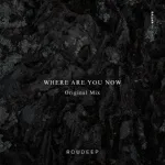 Roudeep - Where Are You Now