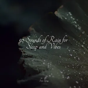 Master Meditação, Nature Sounds, Tibetan Singing Bowls for Relaxation - Lapping Waves