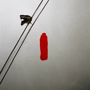 Izate - fatalist