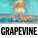 Tiësto - Grapevine